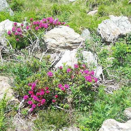 منزل الضيف كوليو  في Agriturismo Cornei Da Nadia المظهر الخارجي الصورة