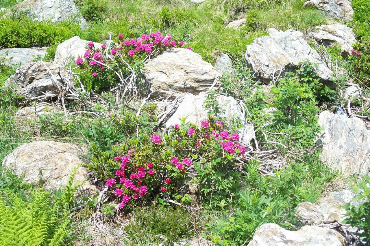 منزل الضيف كوليو  في Agriturismo Cornei Da Nadia المظهر الخارجي الصورة
