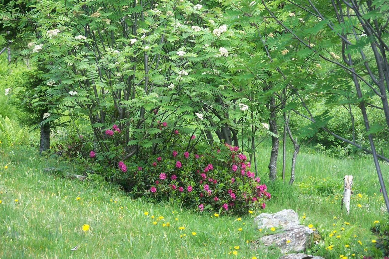 منزل الضيف كوليو  في Agriturismo Cornei Da Nadia المظهر الخارجي الصورة